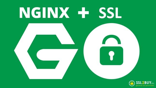 Nginx And SSL